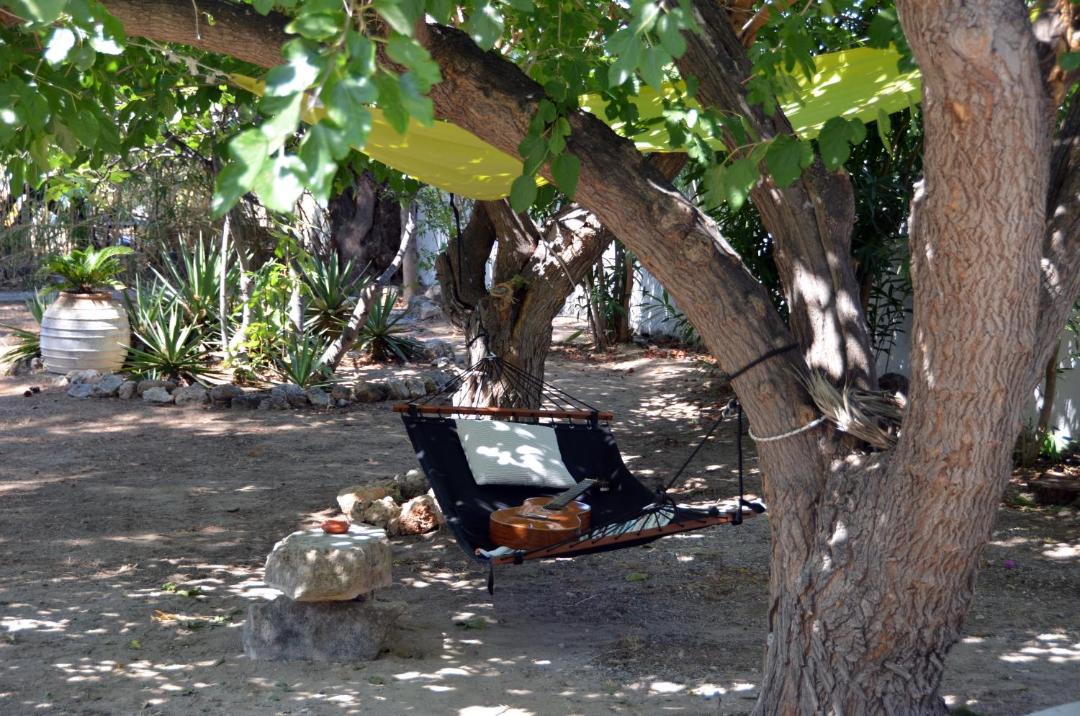 Photo of Others in Pefkos