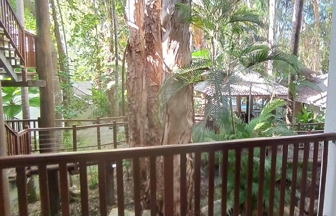 Photo of Others in Palm Cove