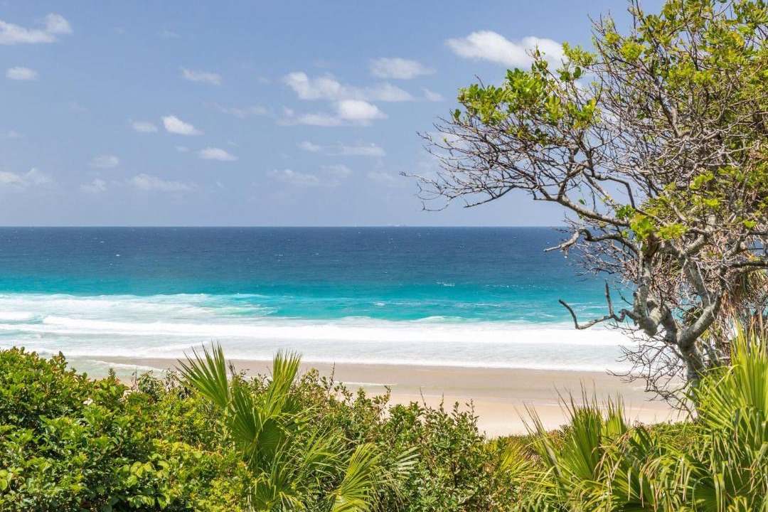 Photo of Others in Blueys Beach