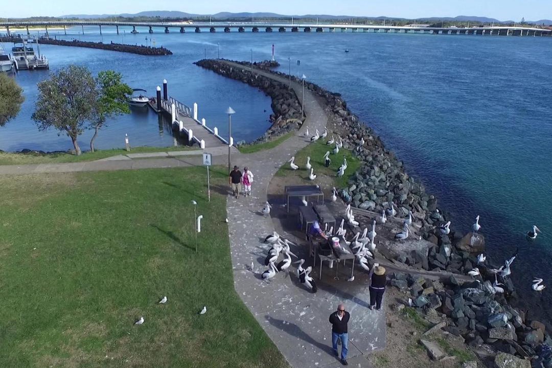 Photo of Others in Tuncurry