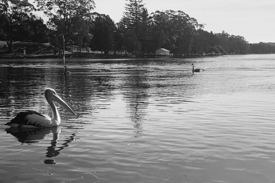Photo of Human In Picture in Sussex Inlet