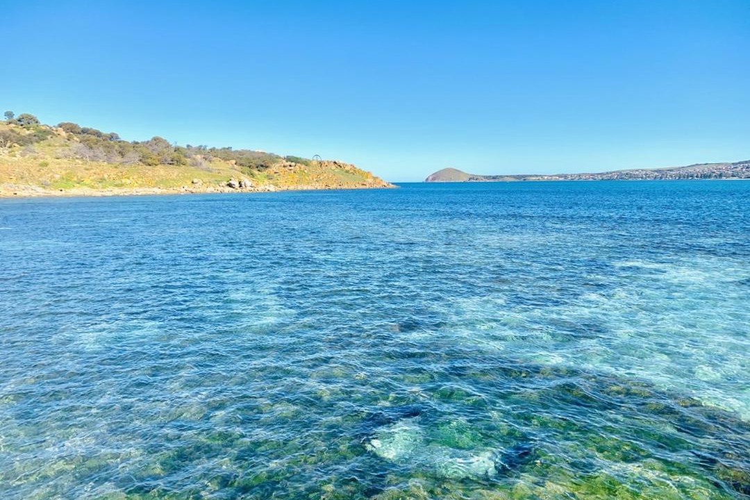 Photo of Others in Encounter Bay
