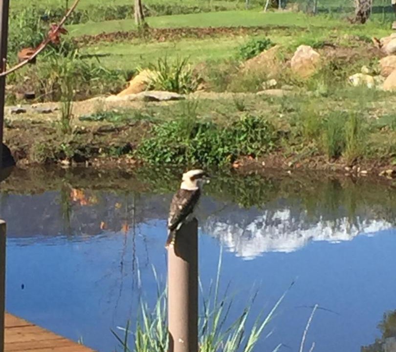 Photo of Others in Tawonga South