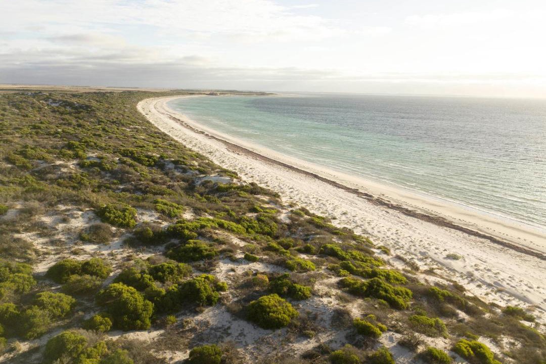 Photo of Others in Port Hughes
