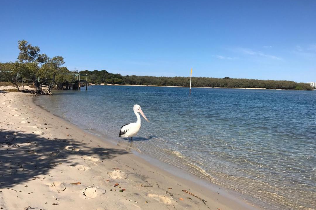 Photo of Outdoor in Twin Waters