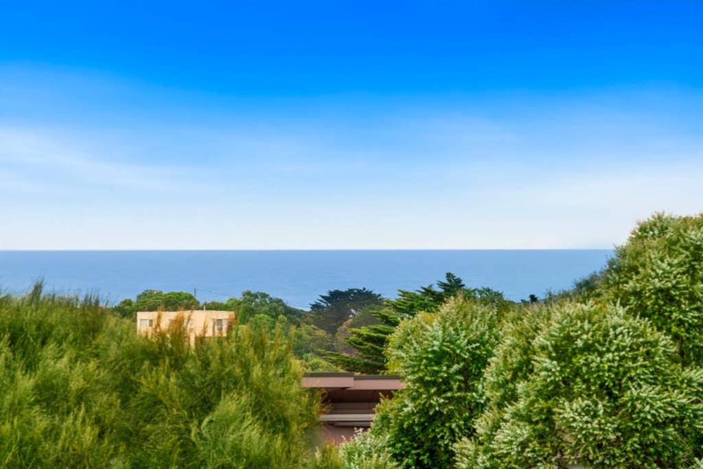 Photo of Others in Aireys Inlet