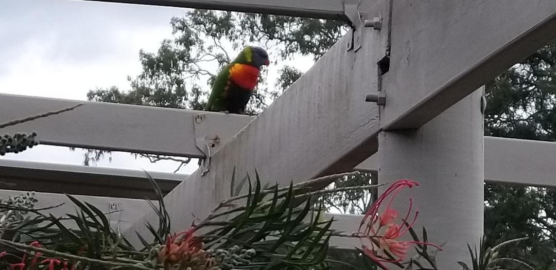 Photo of Others in Taree South