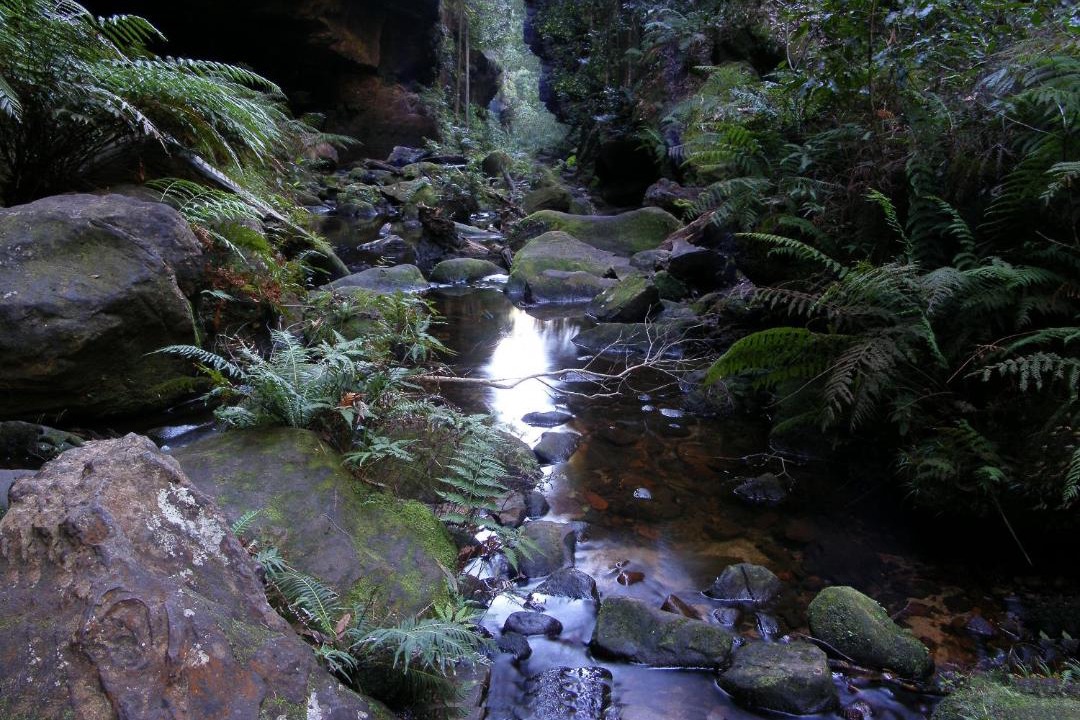 Photo of Others in Katoomba