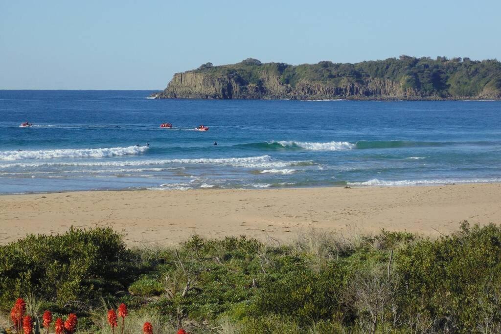 Photo of Outdoor in Kiama Downs
