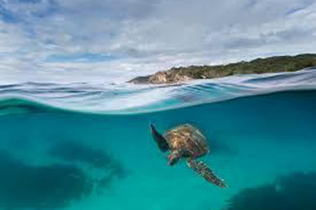 Photo of Others in Byron Bay