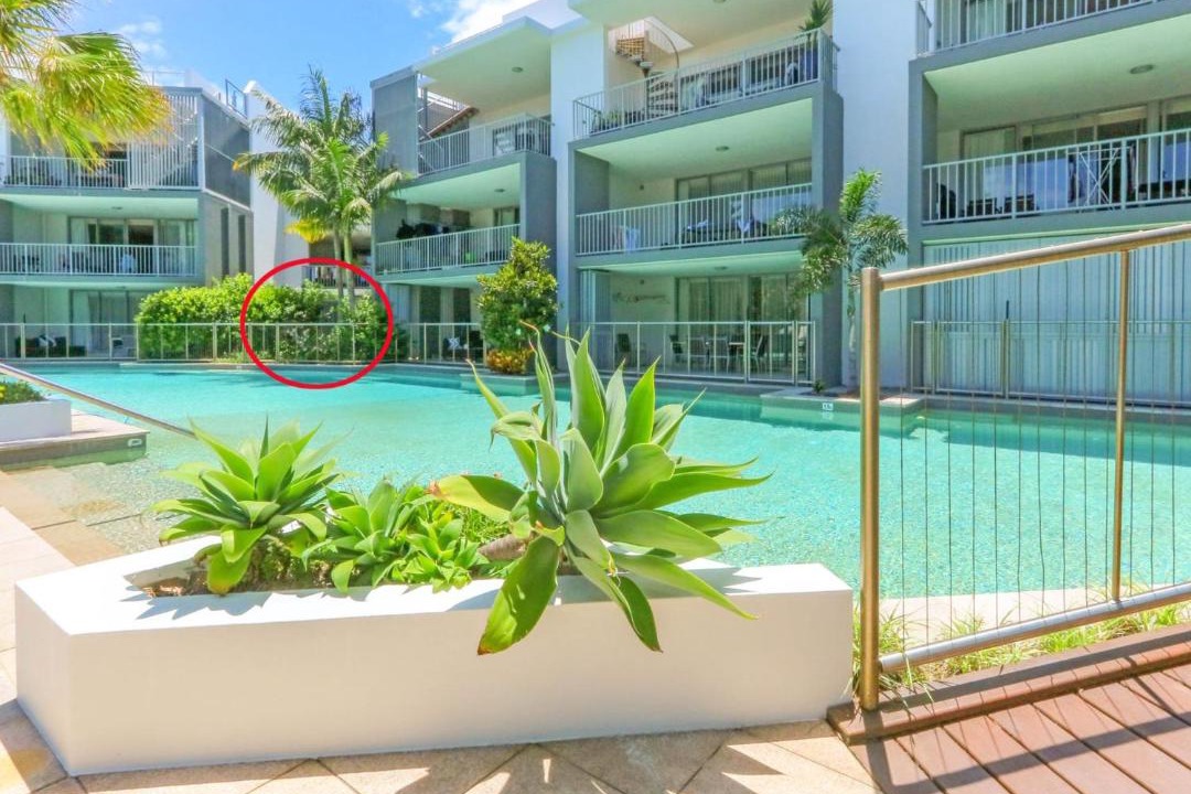 Photo of Others in Casuarina