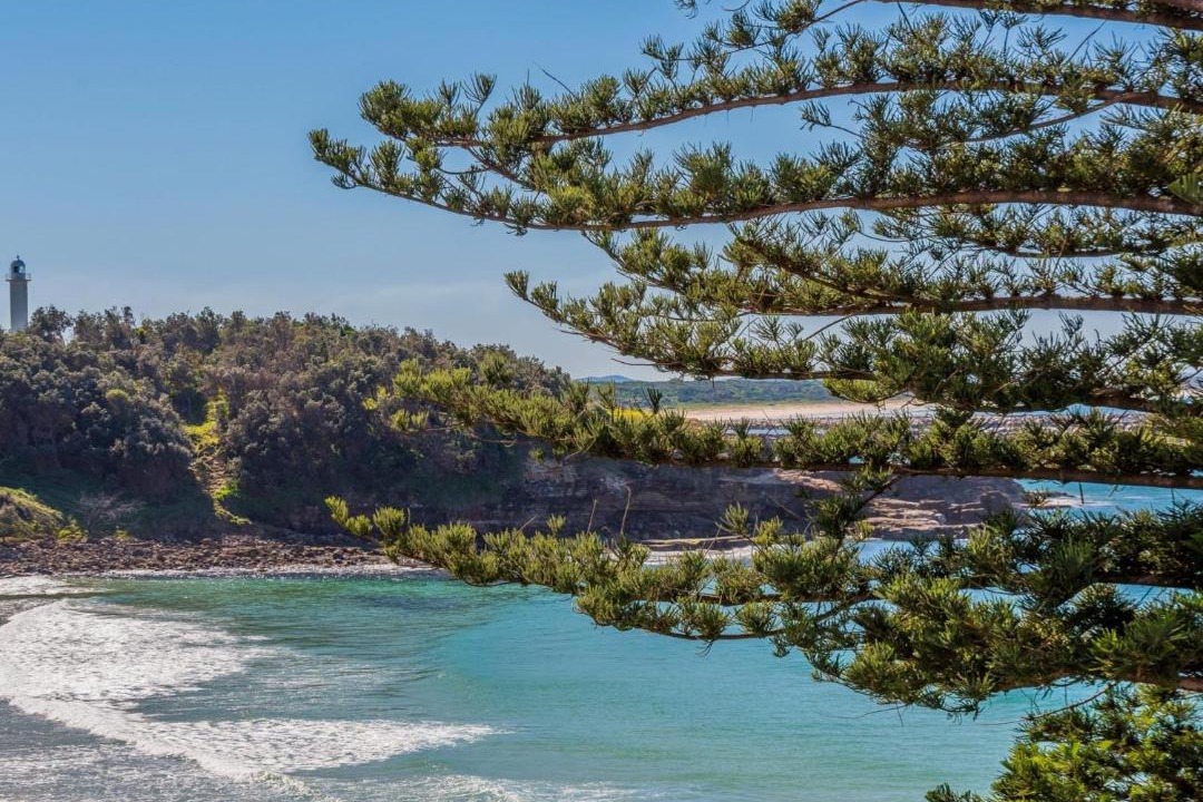 Photo of Others in Yamba