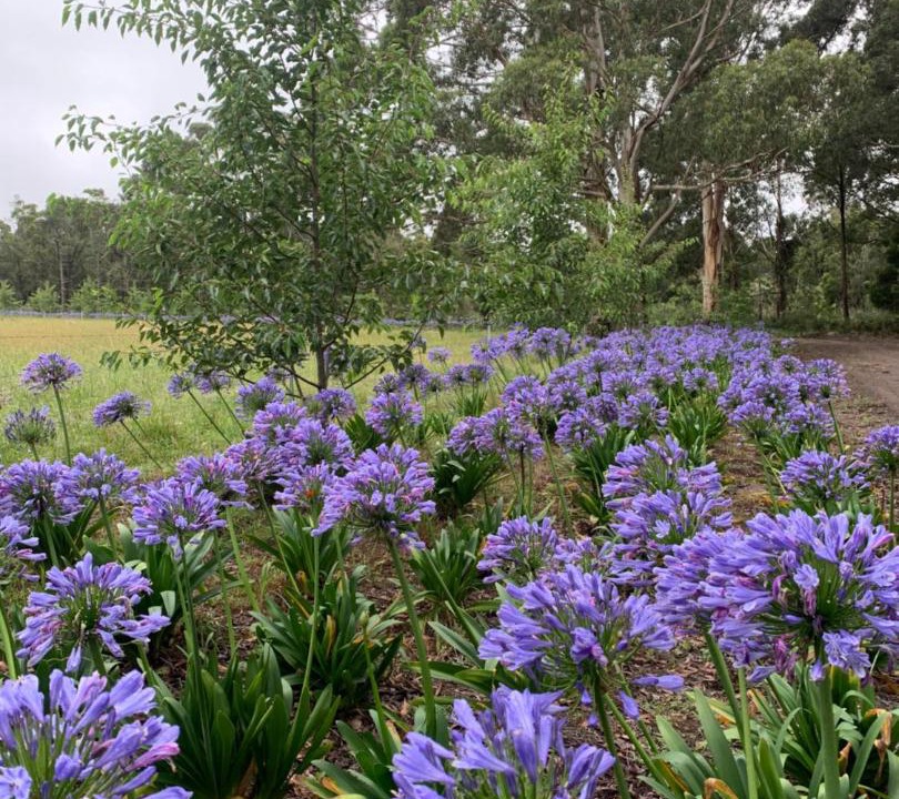 Photo of Outdoor in Robertson