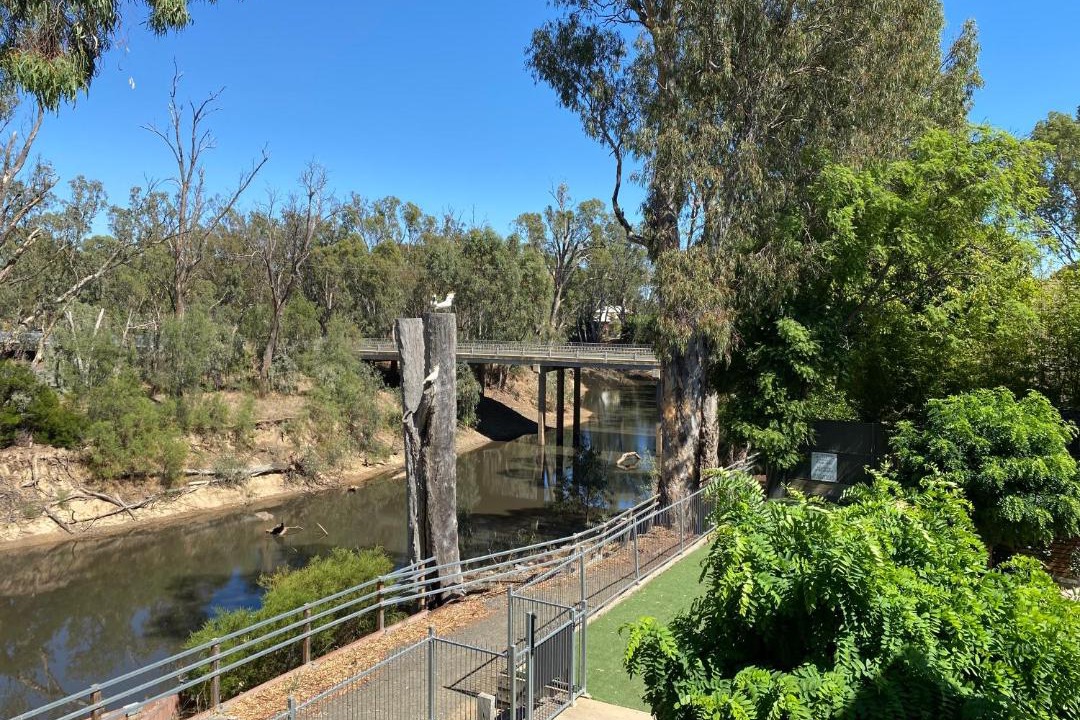 Photo of Others in Echuca