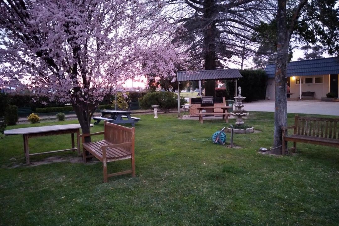 Photo of Others in Wagga Wagga