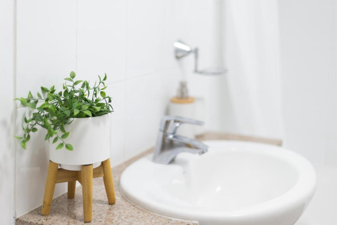 Photo of Bathroom in The Entrance