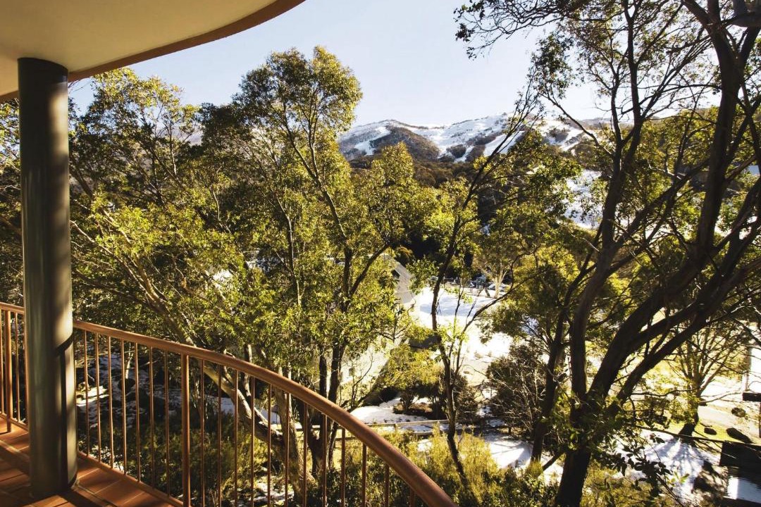 Photo of Others in Thredbo
