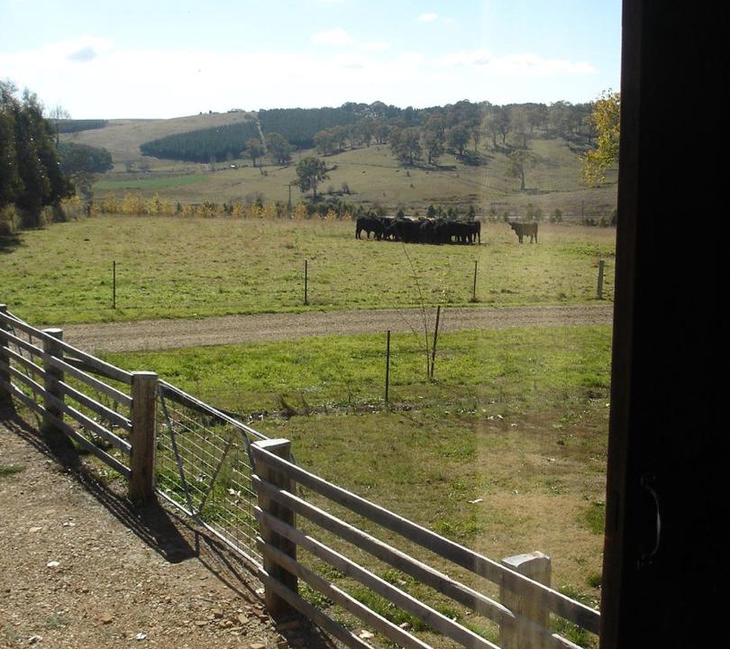 Photo of Others in Borenore