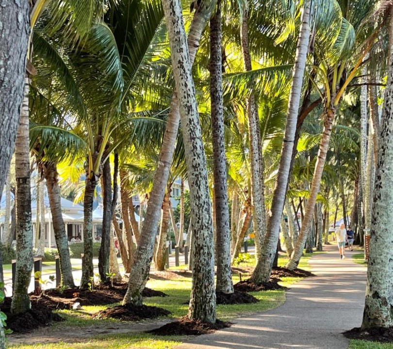 Photo of Buildings in Palm Cove