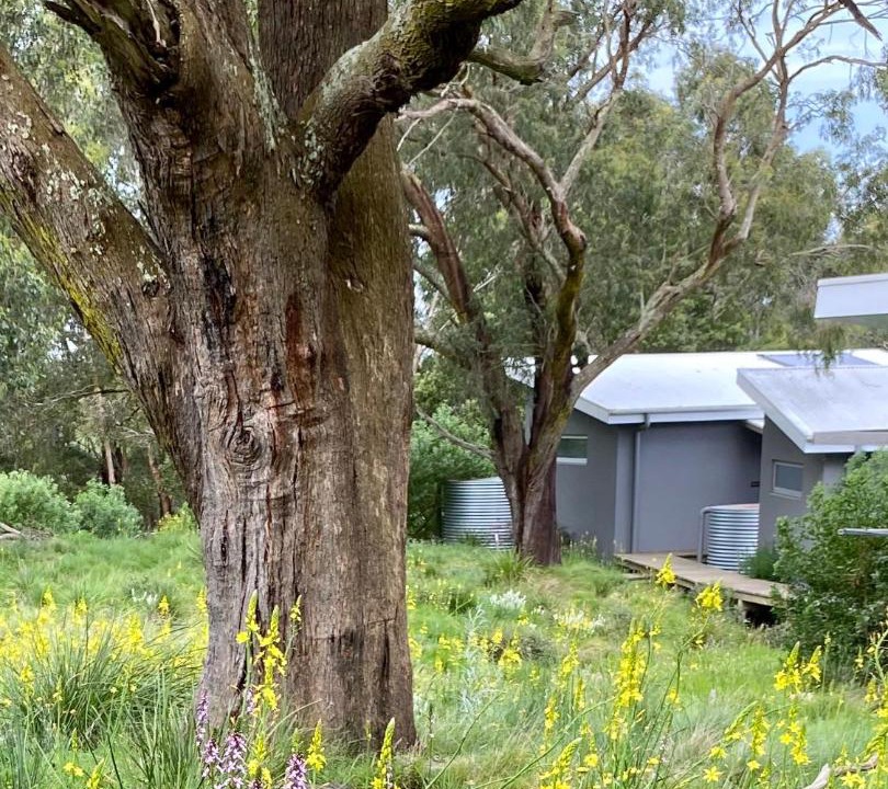 Photo of Others in Inverloch
