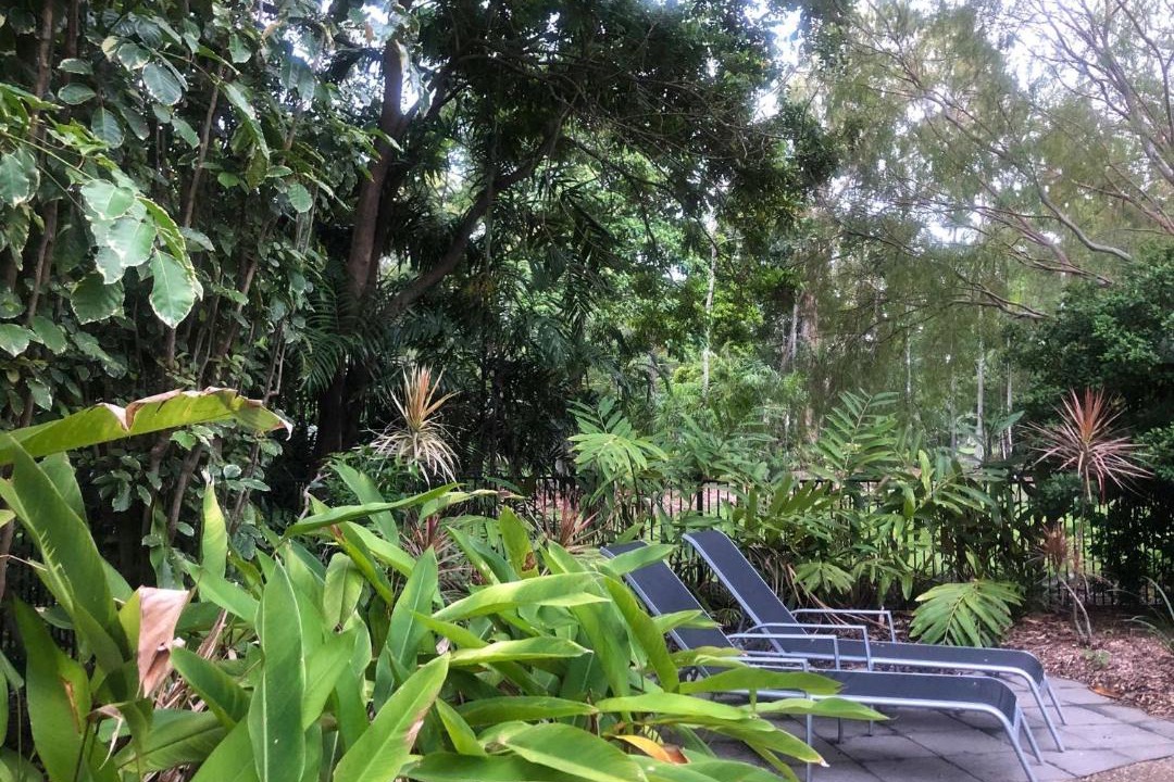 Photo of Others in Port Douglas