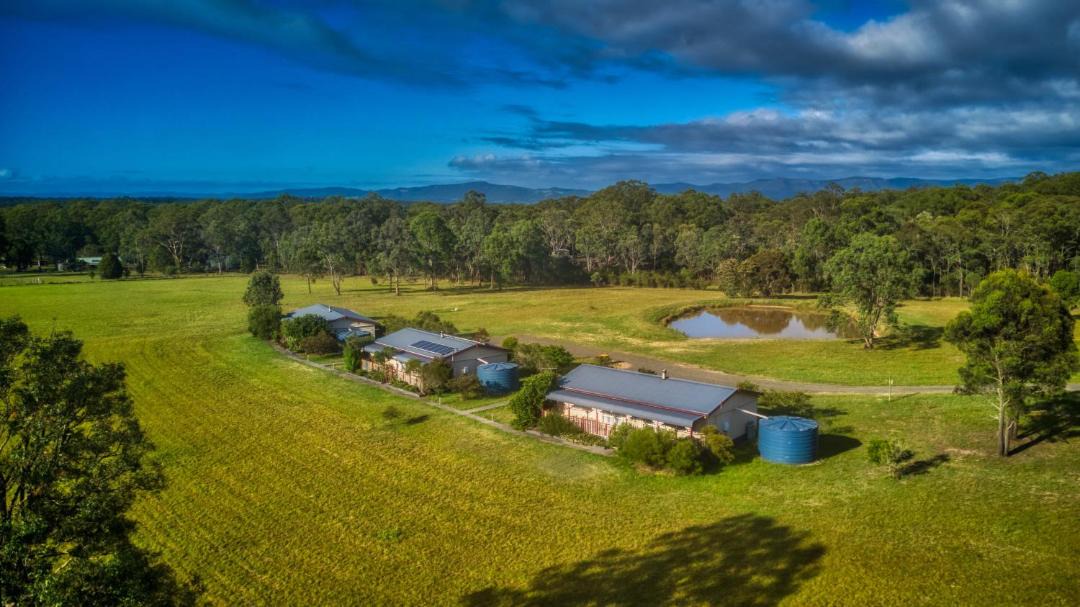 Photo of Others in Lovedale