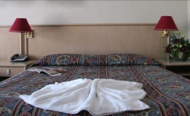 Photo of Bedroom in Wamberal