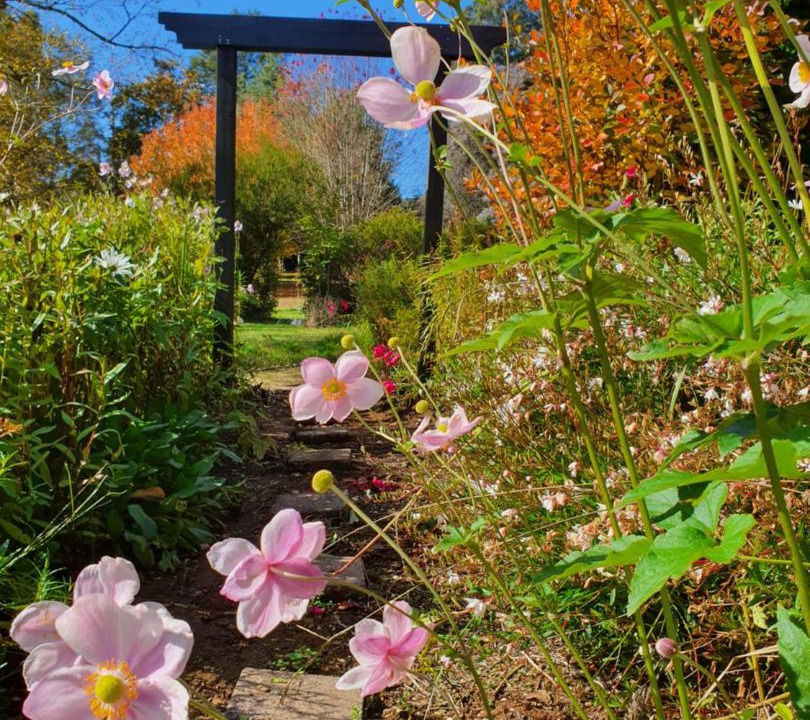 Photo of Outdoor in Narbethong