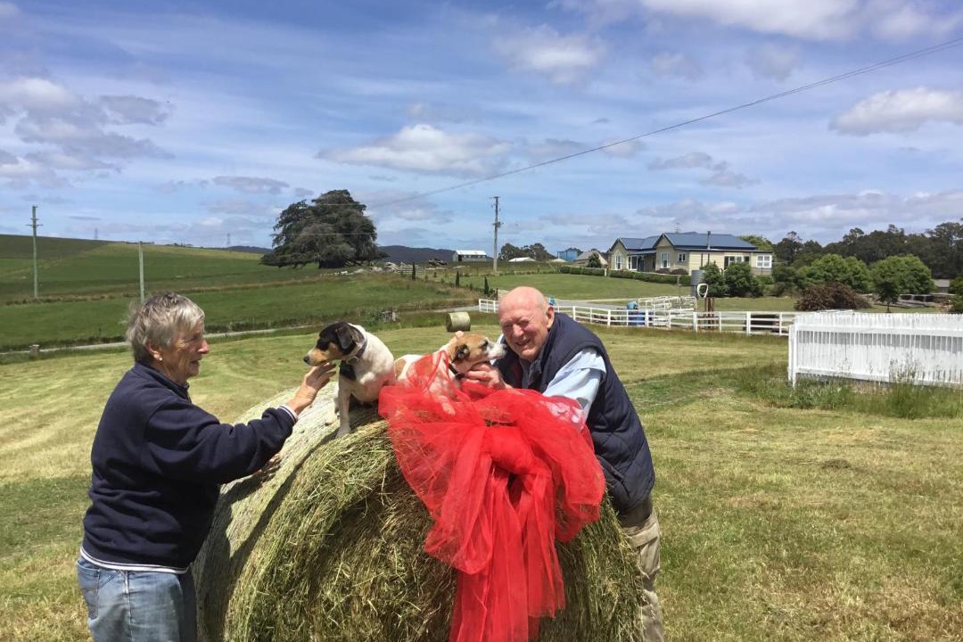 Photo of Others in Rocky Cape