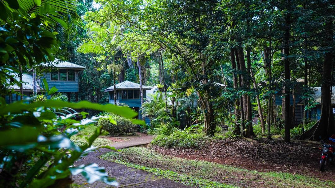Photo of Others in Cape Tribulation