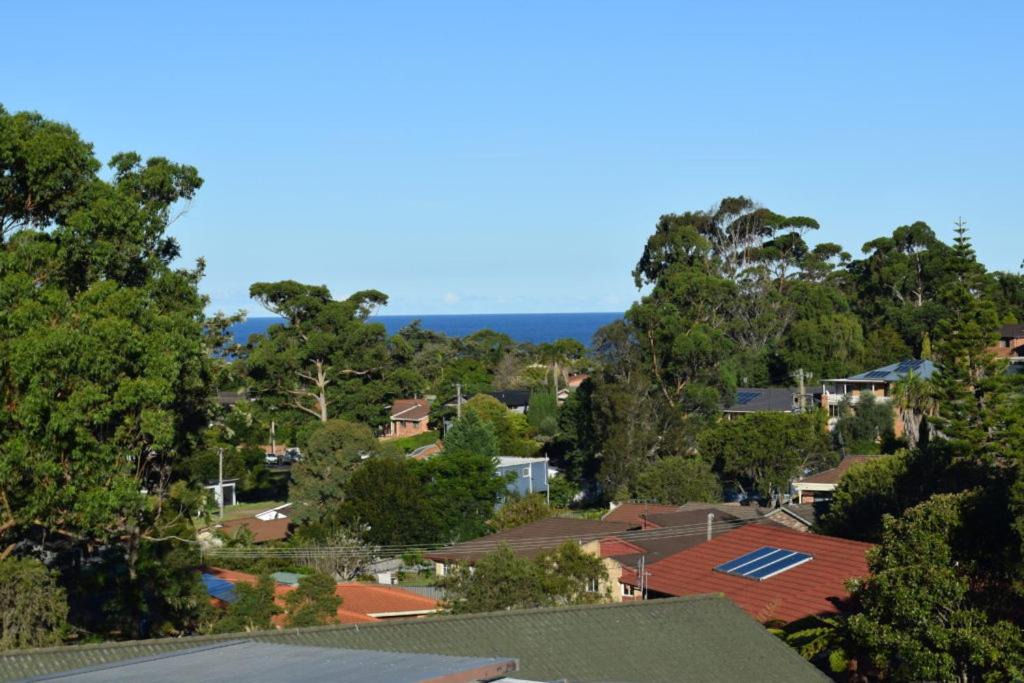 Photo of Others in Mollymook