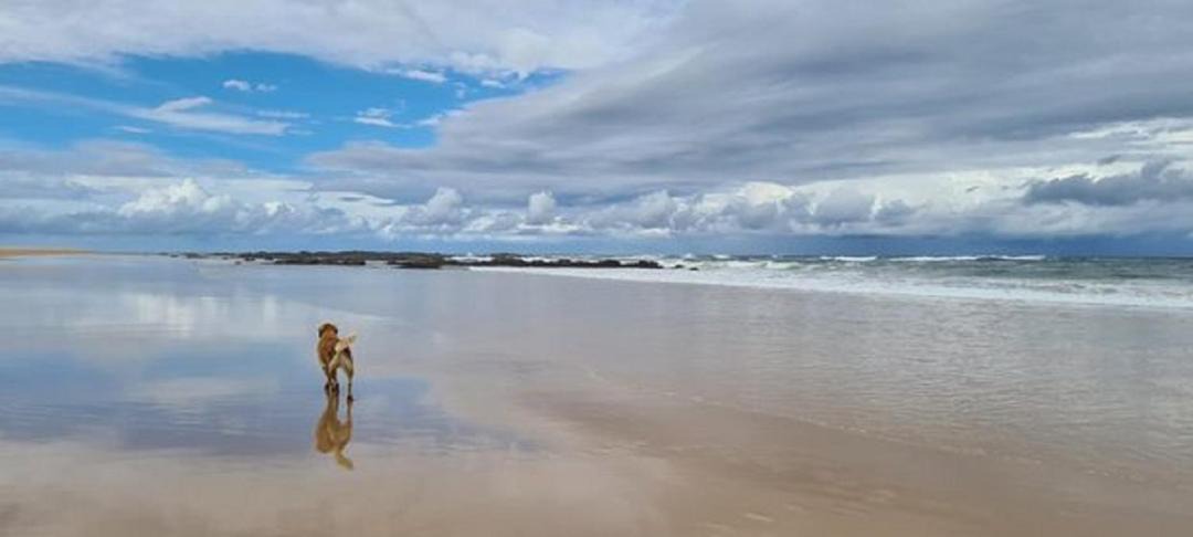 Photo of Others in Diamond Beach