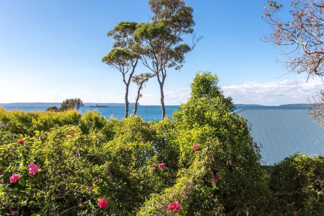 Photo of Others in Hyams Beach