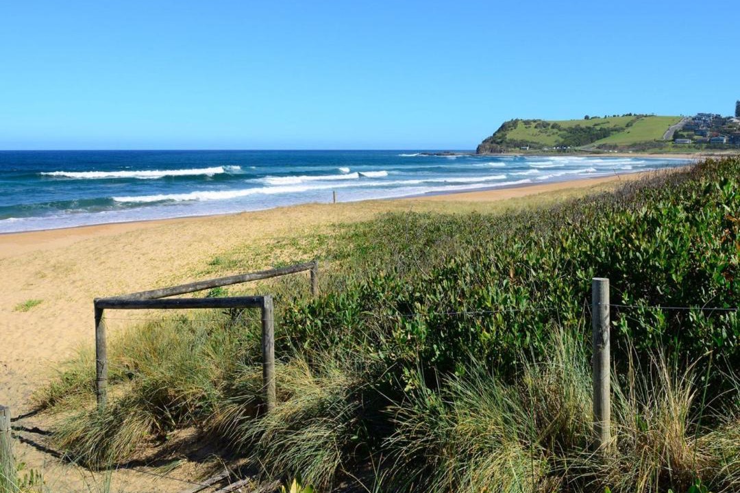 Photo of Outdoor in Werri Beach