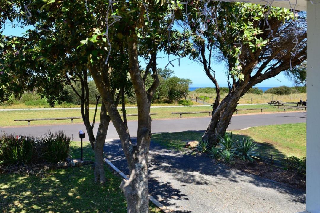 Photo of Outdoor in Werri Beach