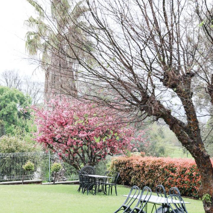 Photo of Outdoor in Tumut