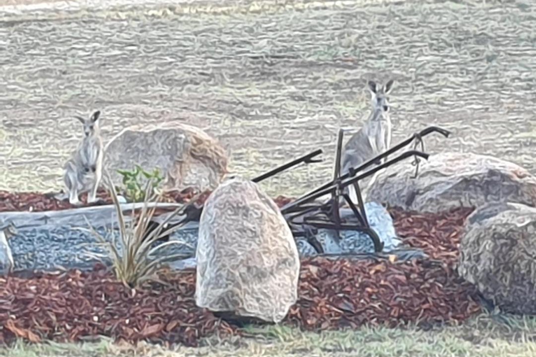 Photo of Others in Severnlea