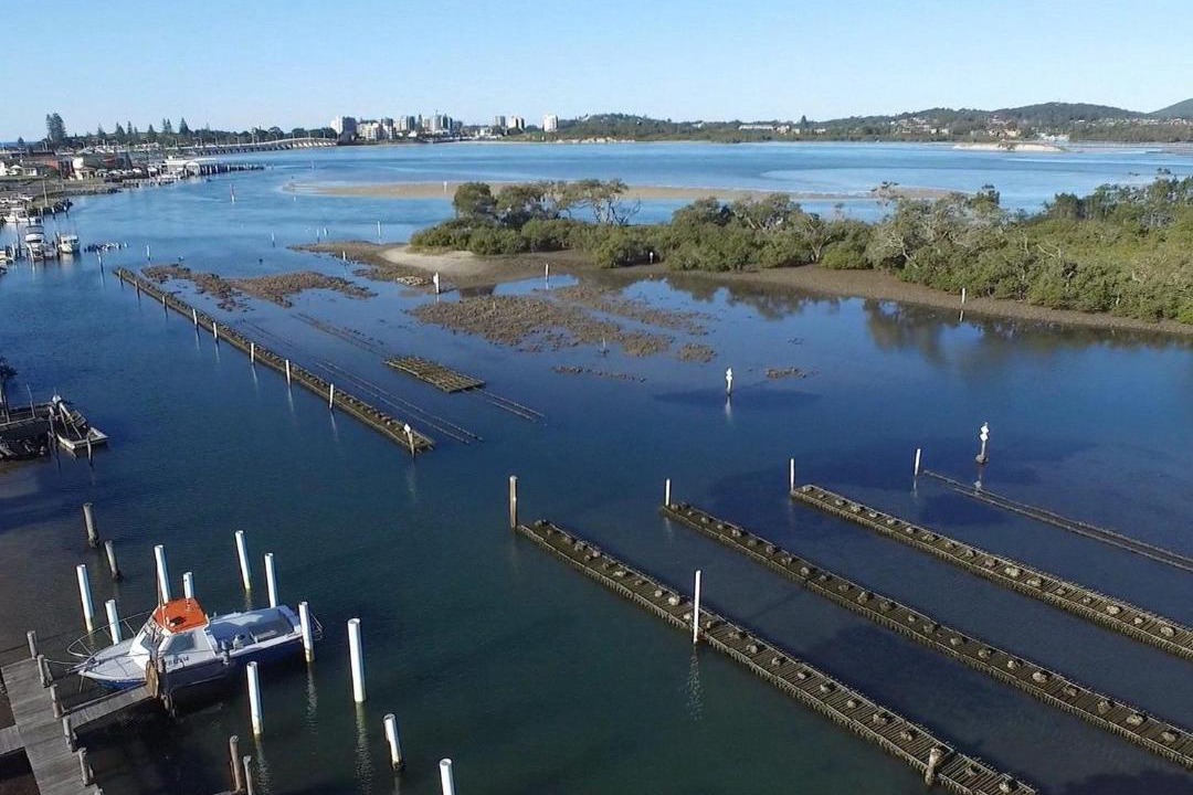 Photo of Others in Tuncurry