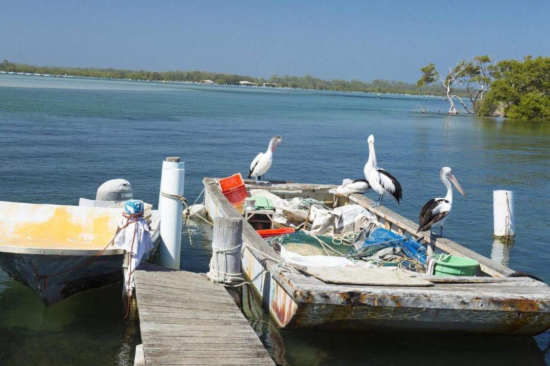 Photo of Others in Tuncurry
