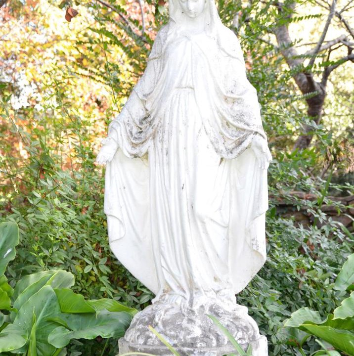 Photo of Others in Leura