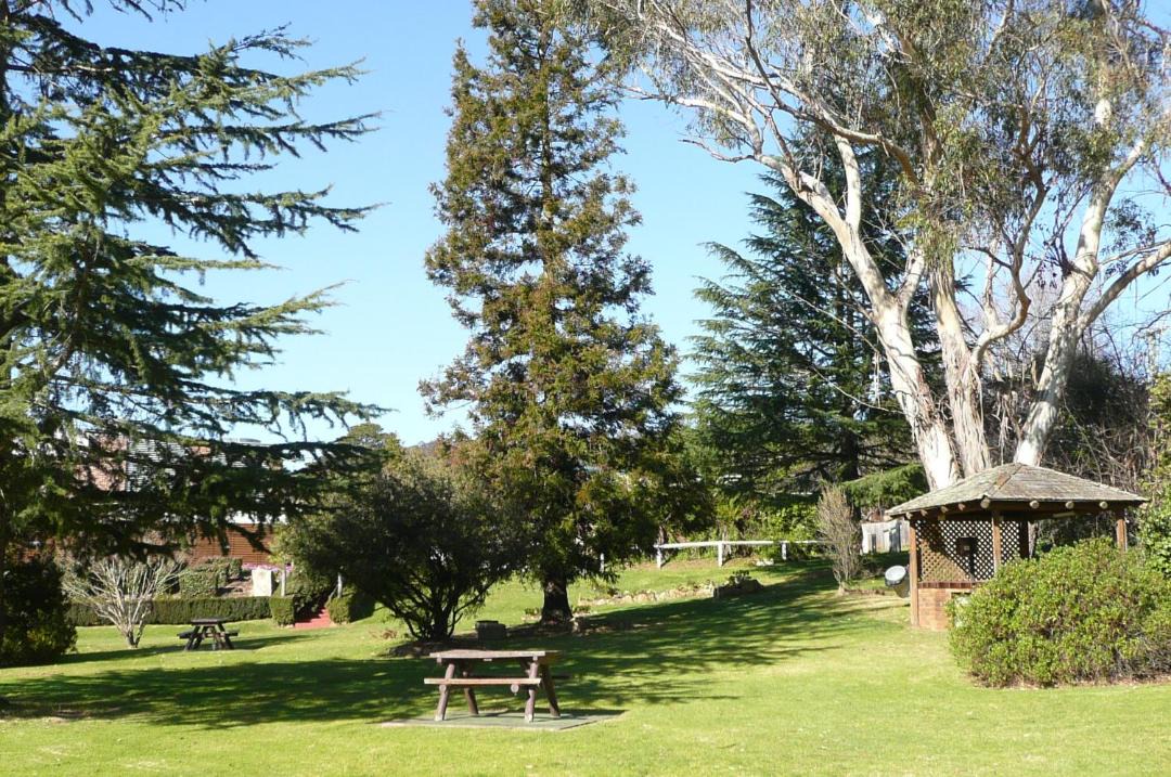 Photo of Others in Mittagong