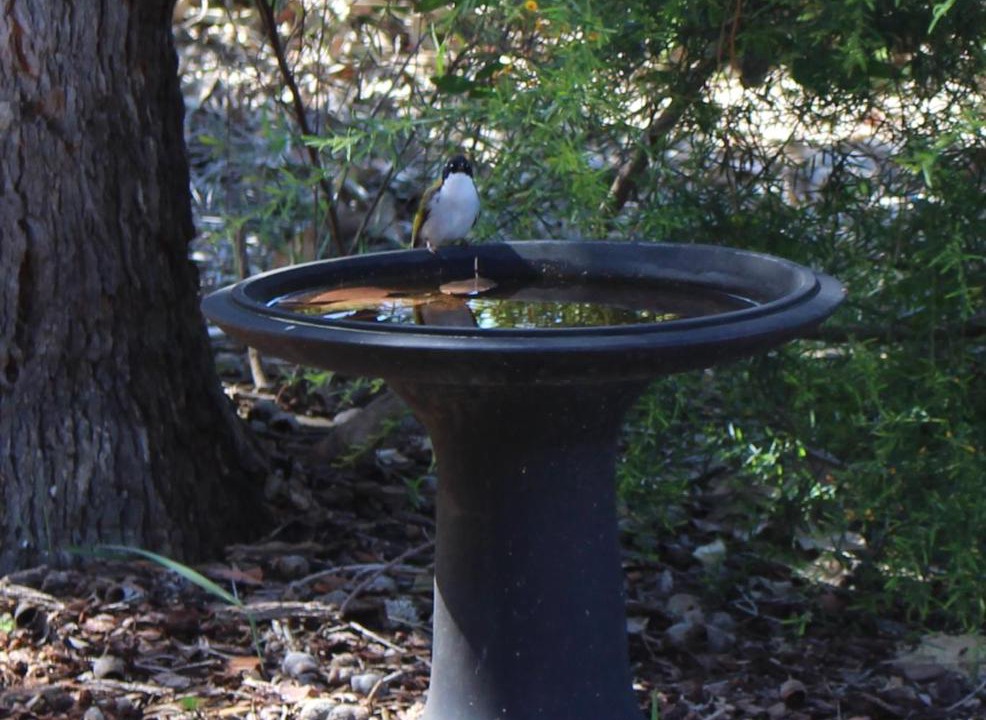 Photo of Outdoor in Augusta