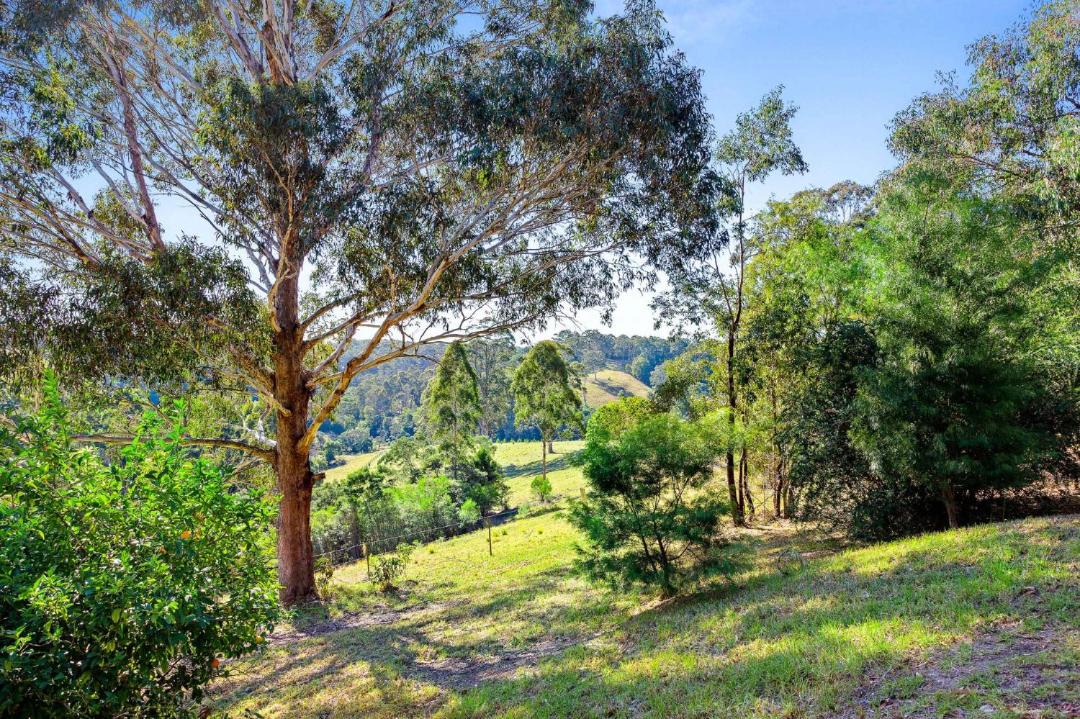 Photo of Outdoor in Central Tilba