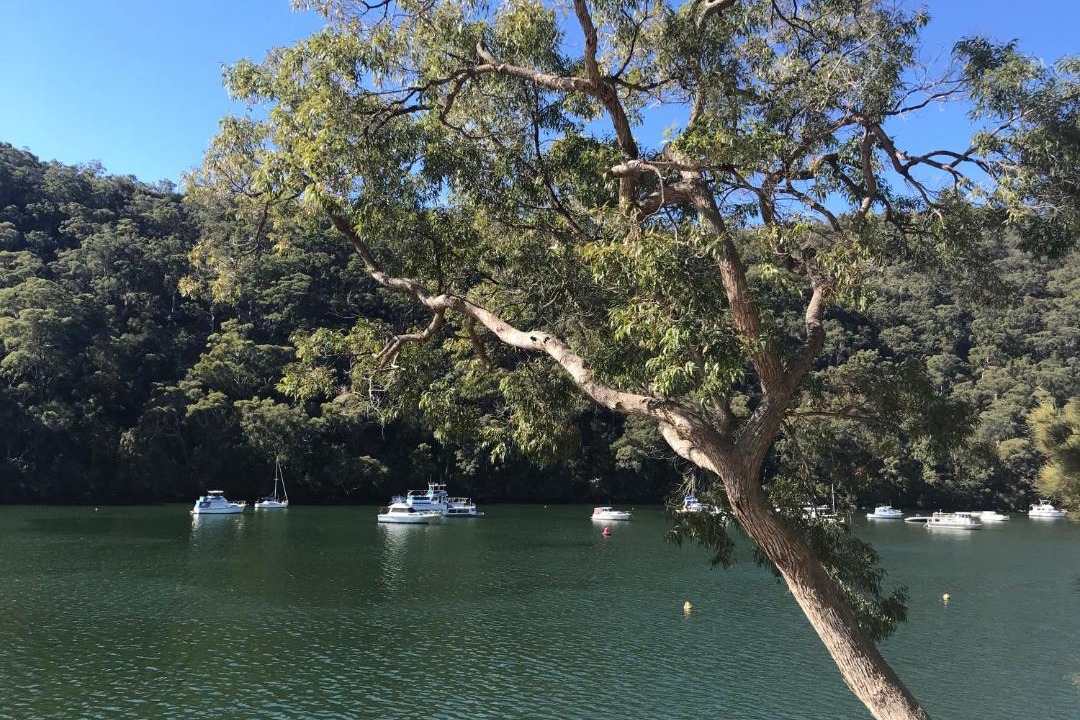 Photo of Outdoor in Berowra Waters