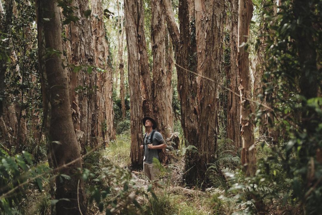 Photo of Others in Boreen Point