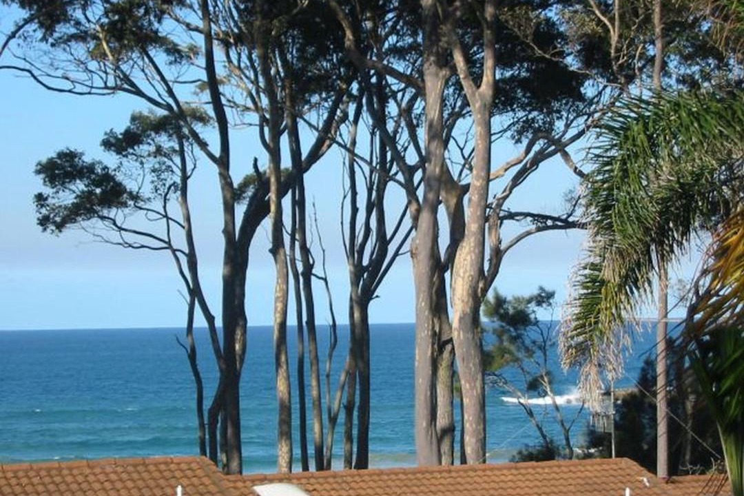 Photo of Outdoor in Denhams Beach