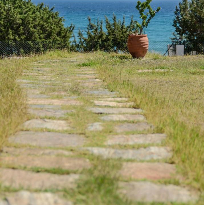 Photo of Others in Naxos