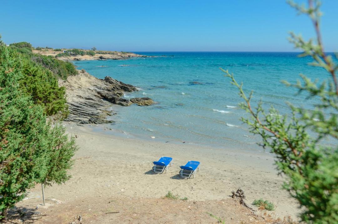 Photo of Others in Naxos