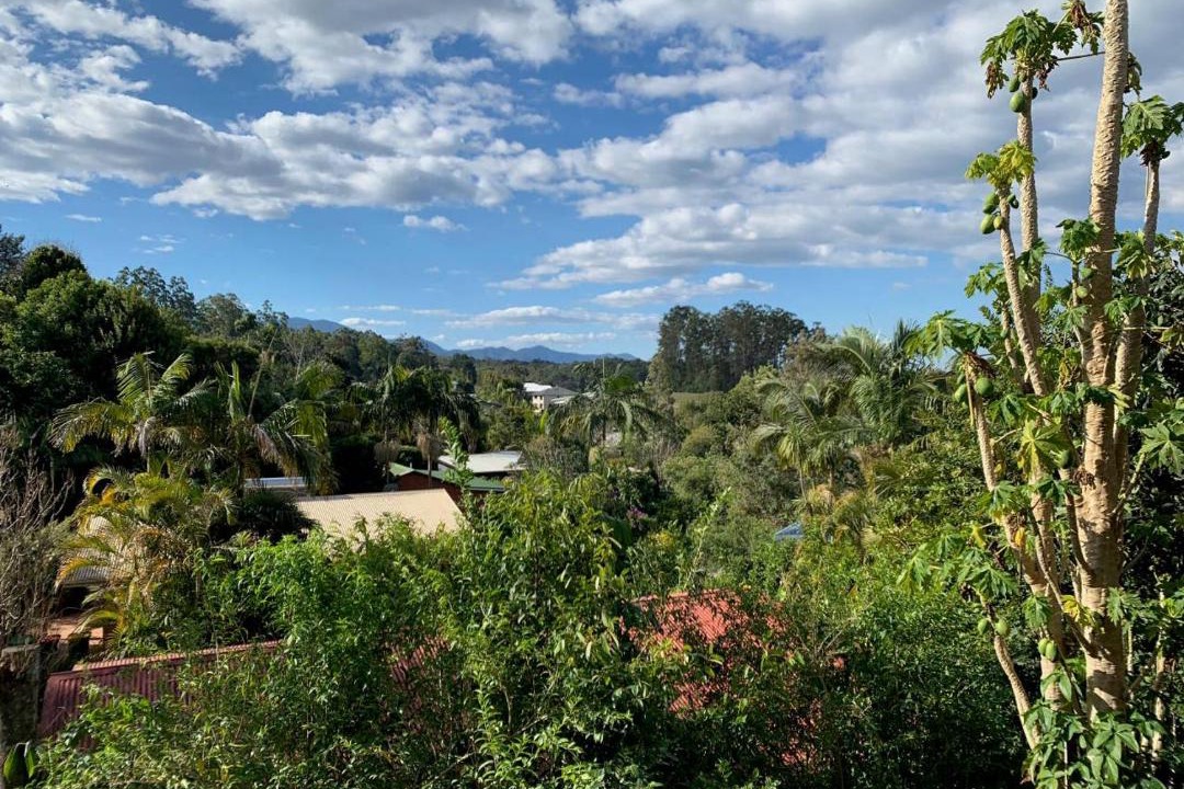 Photo of Others in Bellingen