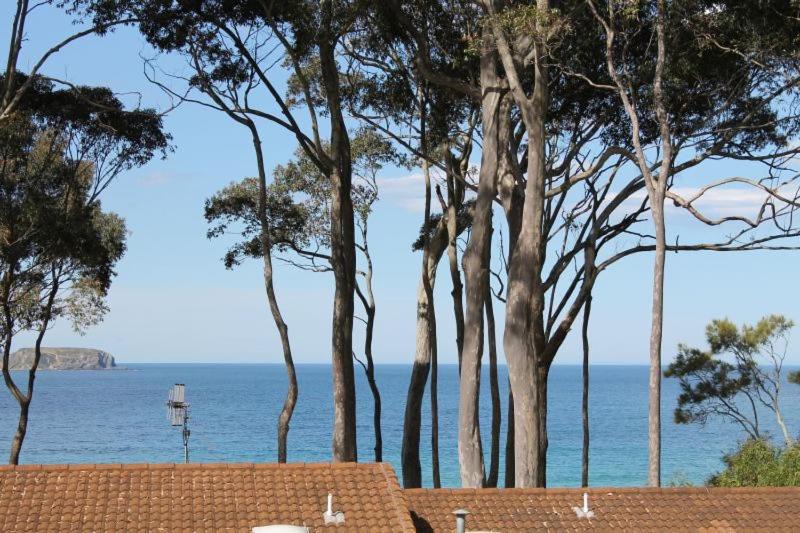 Photo of Others in Denhams Beach